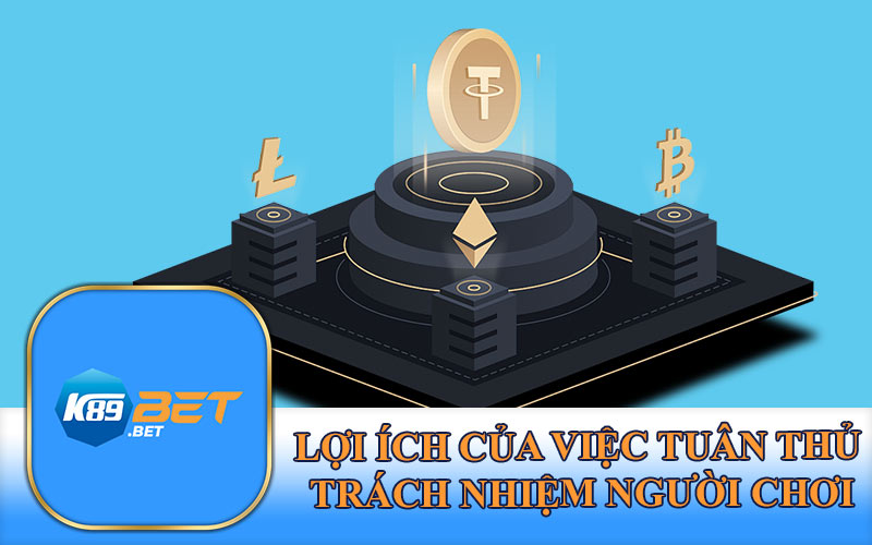 Lợi Ích Của Việc Tuân Thủ Trách Nhiệm Người Chơi