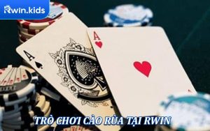 Cào Rùa - Hướng Dẫn Chi Tiết Và Bí Kíp Chơi Thắng Lớn